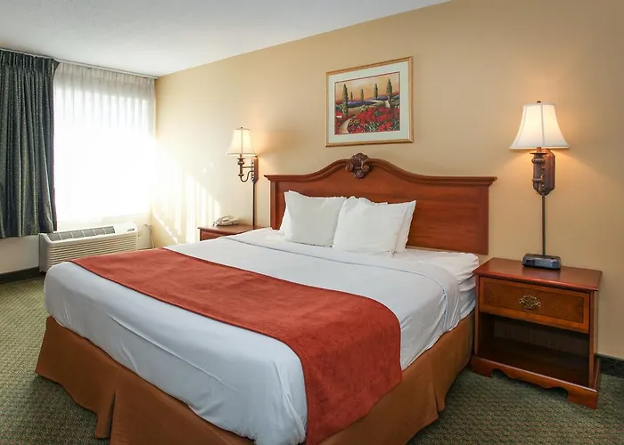 Econo & St Louis 4*