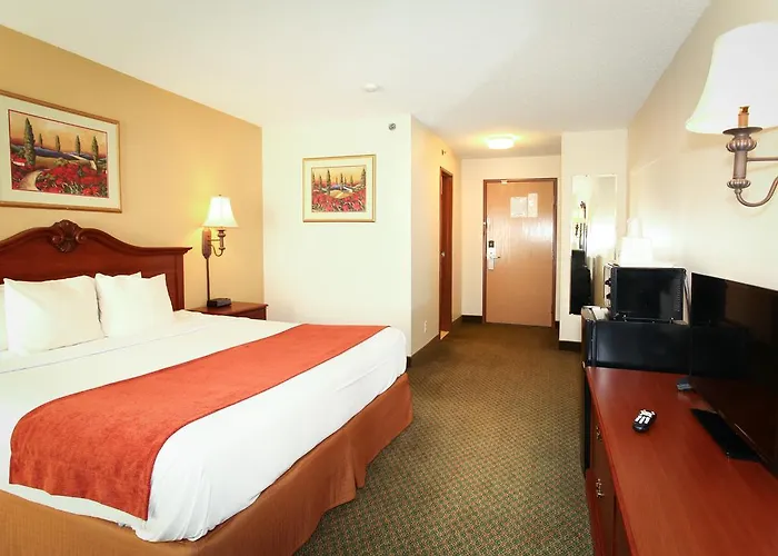 Econo & St Louis 4*
