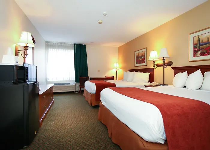 Econo & St Louis Hotel 4*