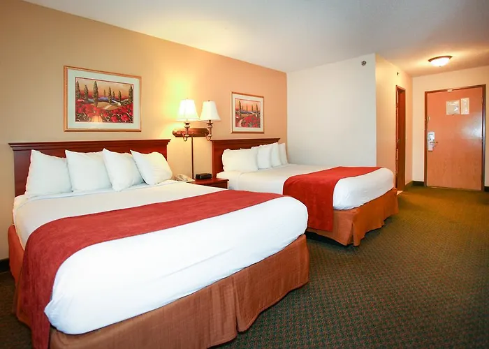 Econo & St Louis 4*