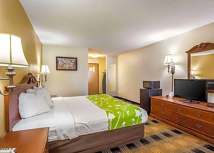 Econo & St Louis 4*